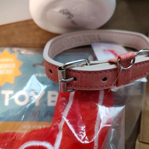 New Puppy Starter Kit-Eight Items Lot-Retail $100.00 - Picture 8 of 11